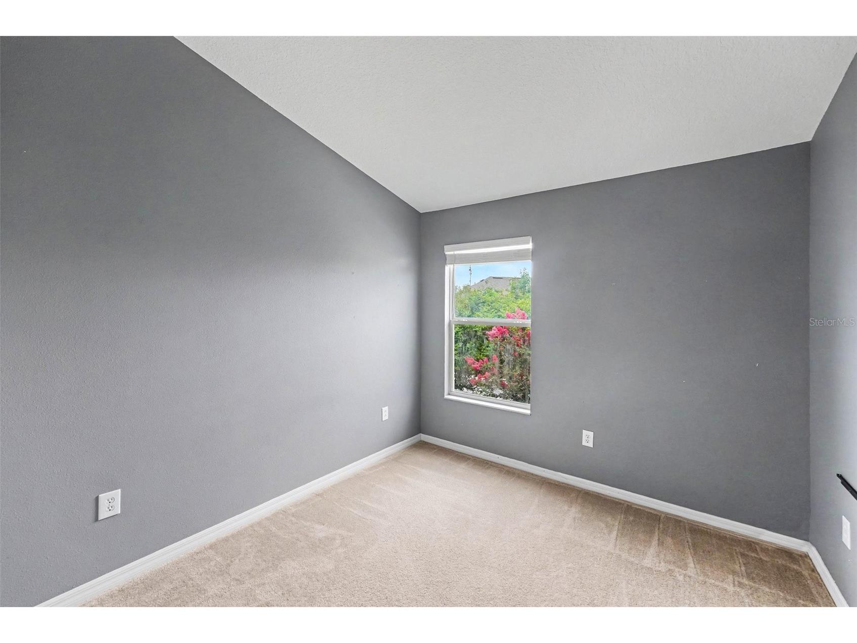 6938 46th Way N Pinellas Park FL 33781 TB8517856 image9