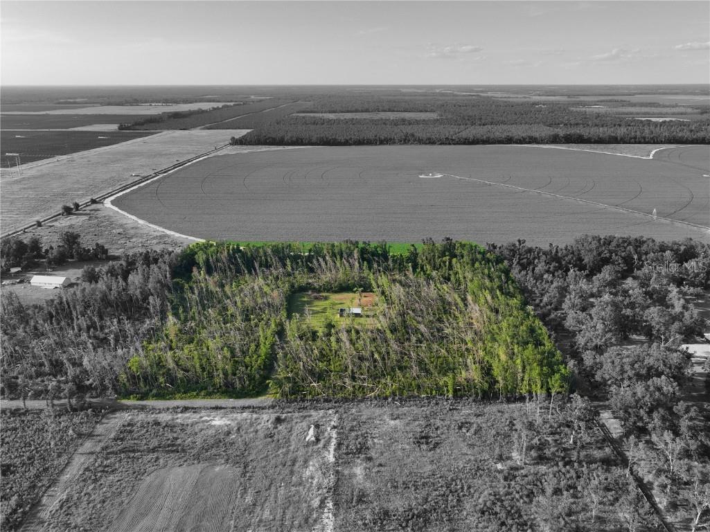 6938 SW 40th Avenue Jasper FL 32052 J996195 image1