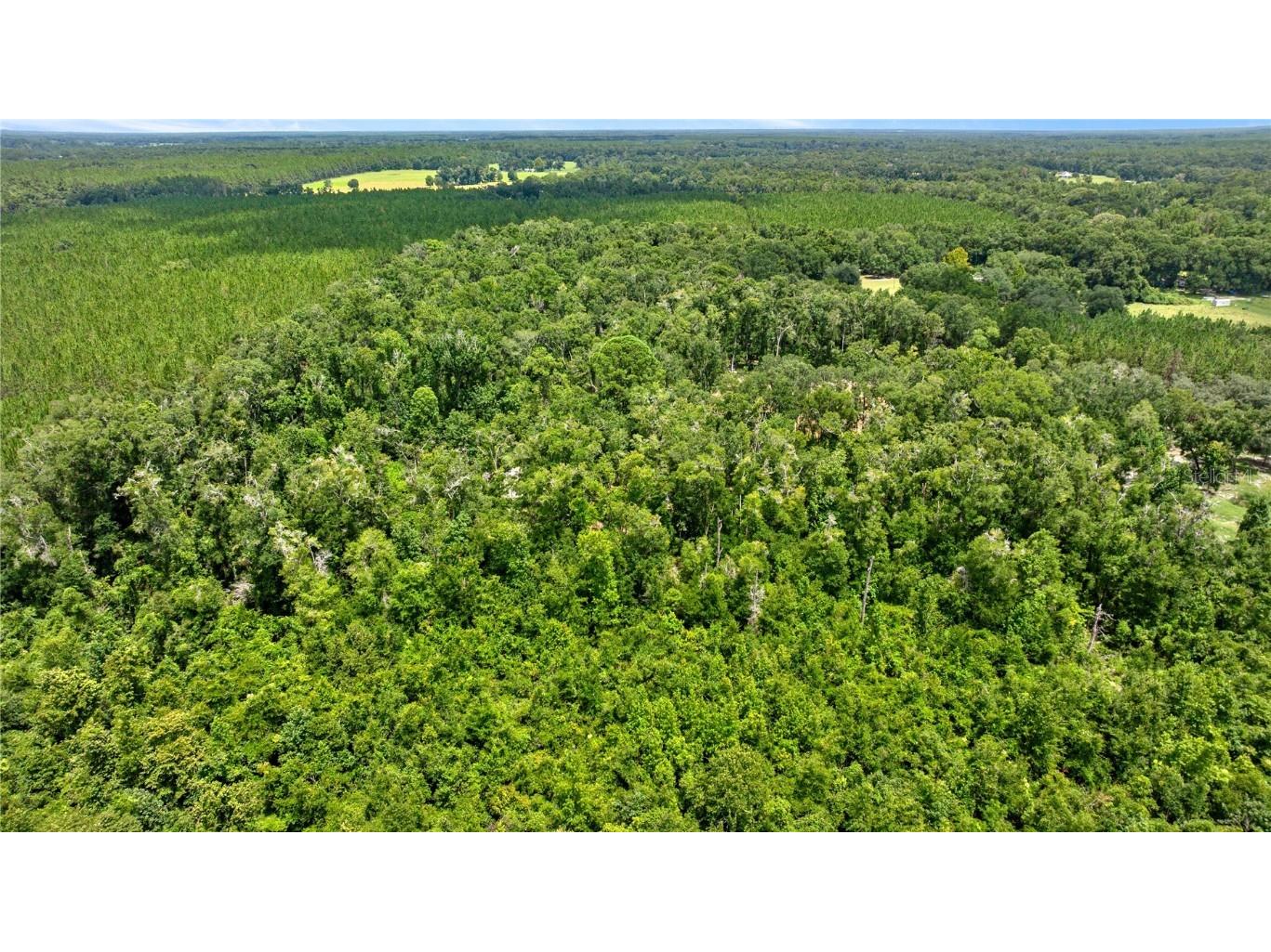 694 SW Quarter Ln Fort White FL 32038 GC534029 image32