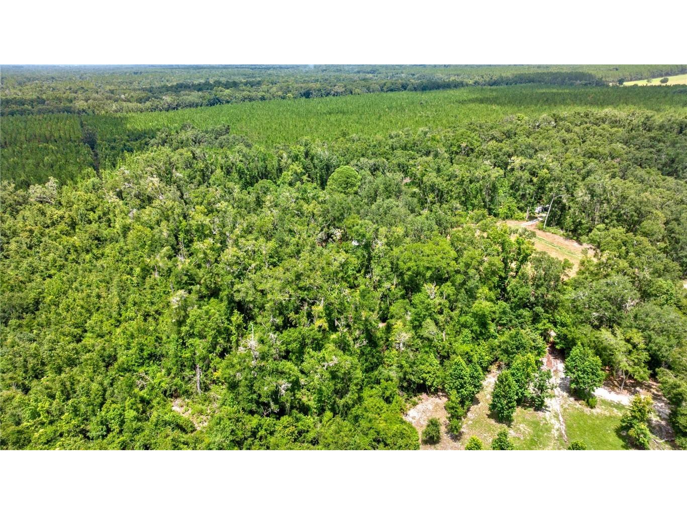 694 SW Quarter Ln Fort White FL 32038 GC534029 image33