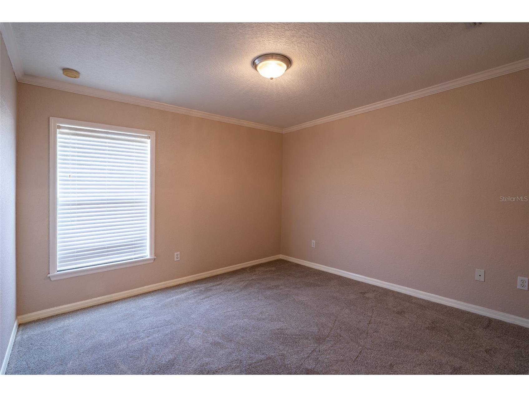 6940 Bently Drive Lakeland FL 33809 S5142450 image13