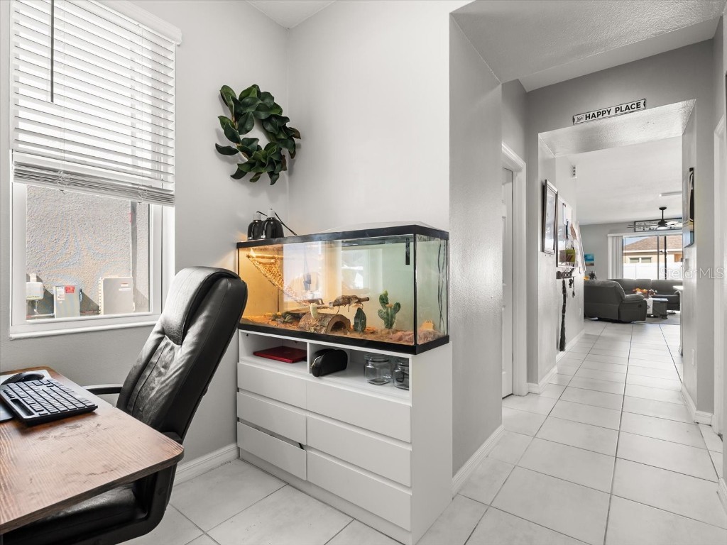 6940 Church Lake Street Groveland FL 34736 O6355528 image17