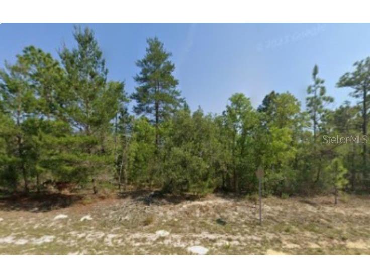 6940 N Fountainhead Drive Citrus Springs FL 34433 T3540316 image1