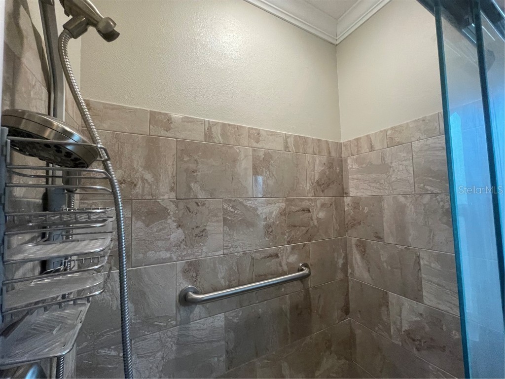 6942 Amanda Vista Circle Land O Lakes FL 34637 W7867816 image19