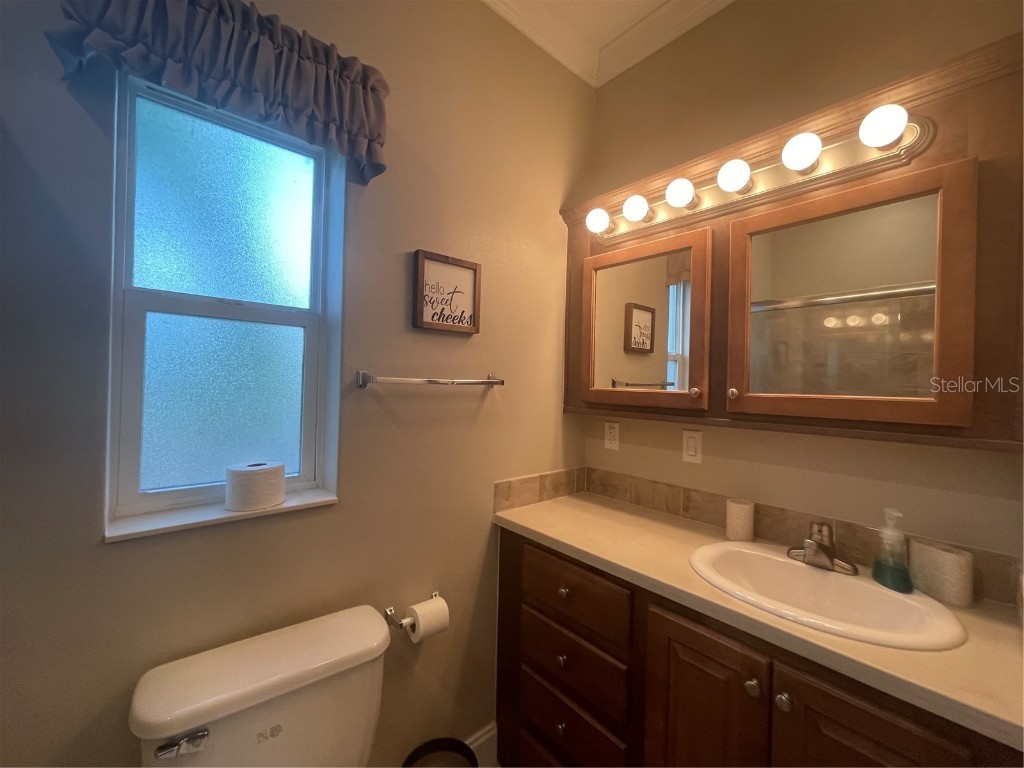 6942 Amanda Vista Circle Land O Lakes FL 34637 W7867816 image20