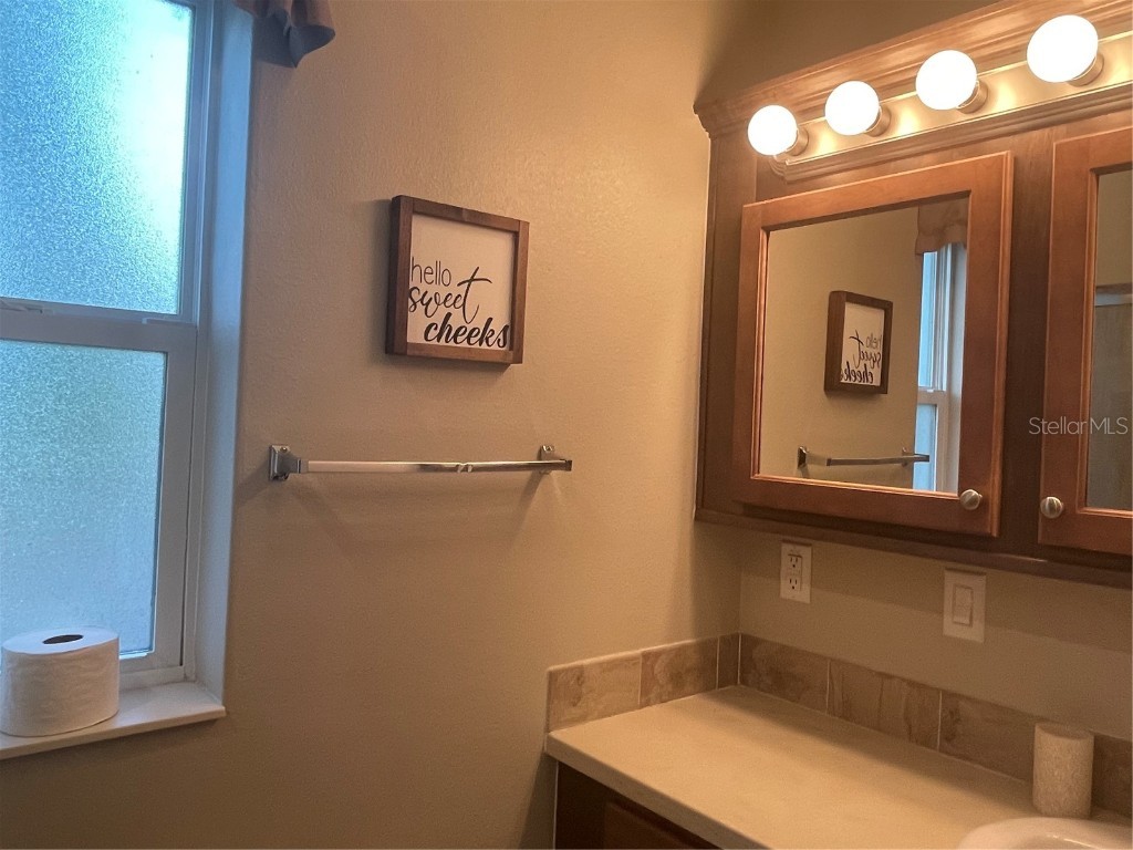 6942 Amanda Vista Circle Land O Lakes FL 34637 W7867816 image21