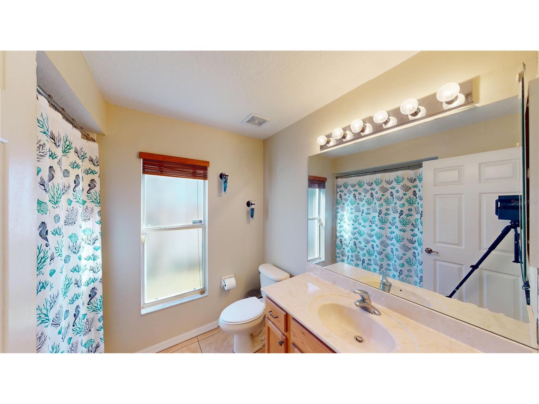 6942 Orvicti Court Wesley Chapel FL 33544 TB8474941 image15