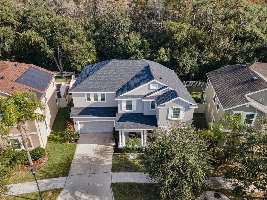 6942 Rocky Canyon Way Tampa FL 33625 TB8442831 image2