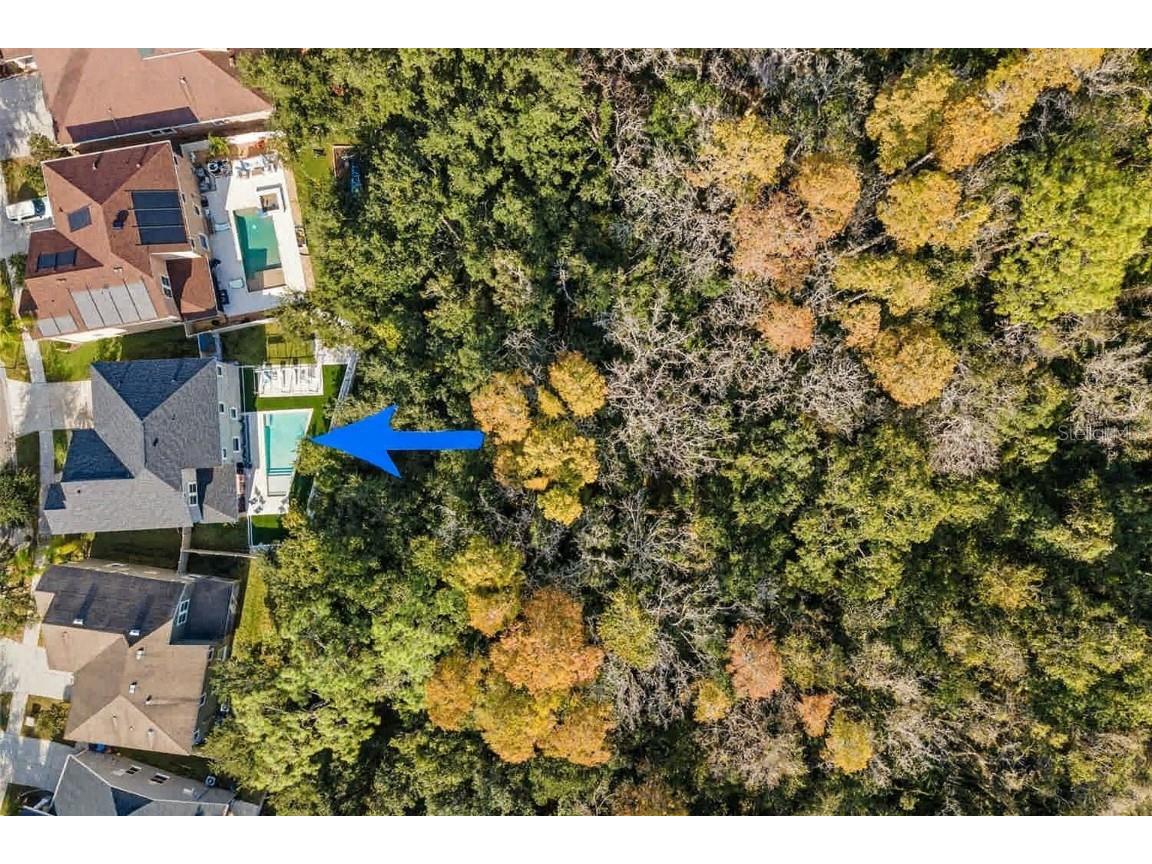 6942 Rocky Canyon Way Tampa FL 33625 TB8442831 image21