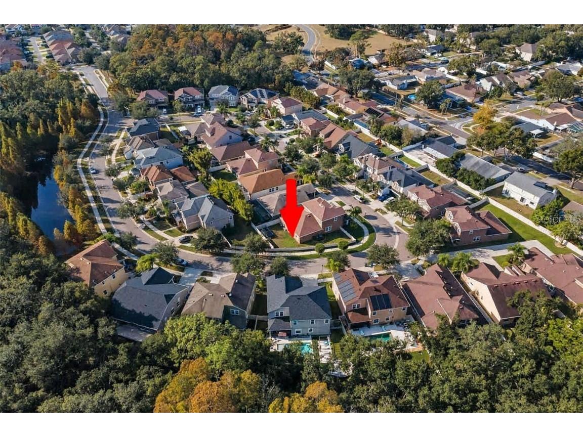 6942 Rocky Canyon Way Tampa FL 33625 TB8442831 image22