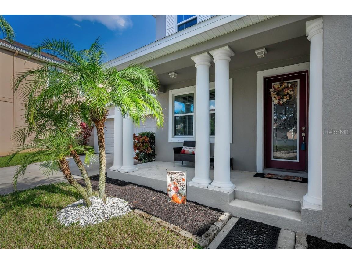 6942 Rocky Canyon Way Tampa FL 33625 TB8442831 image23