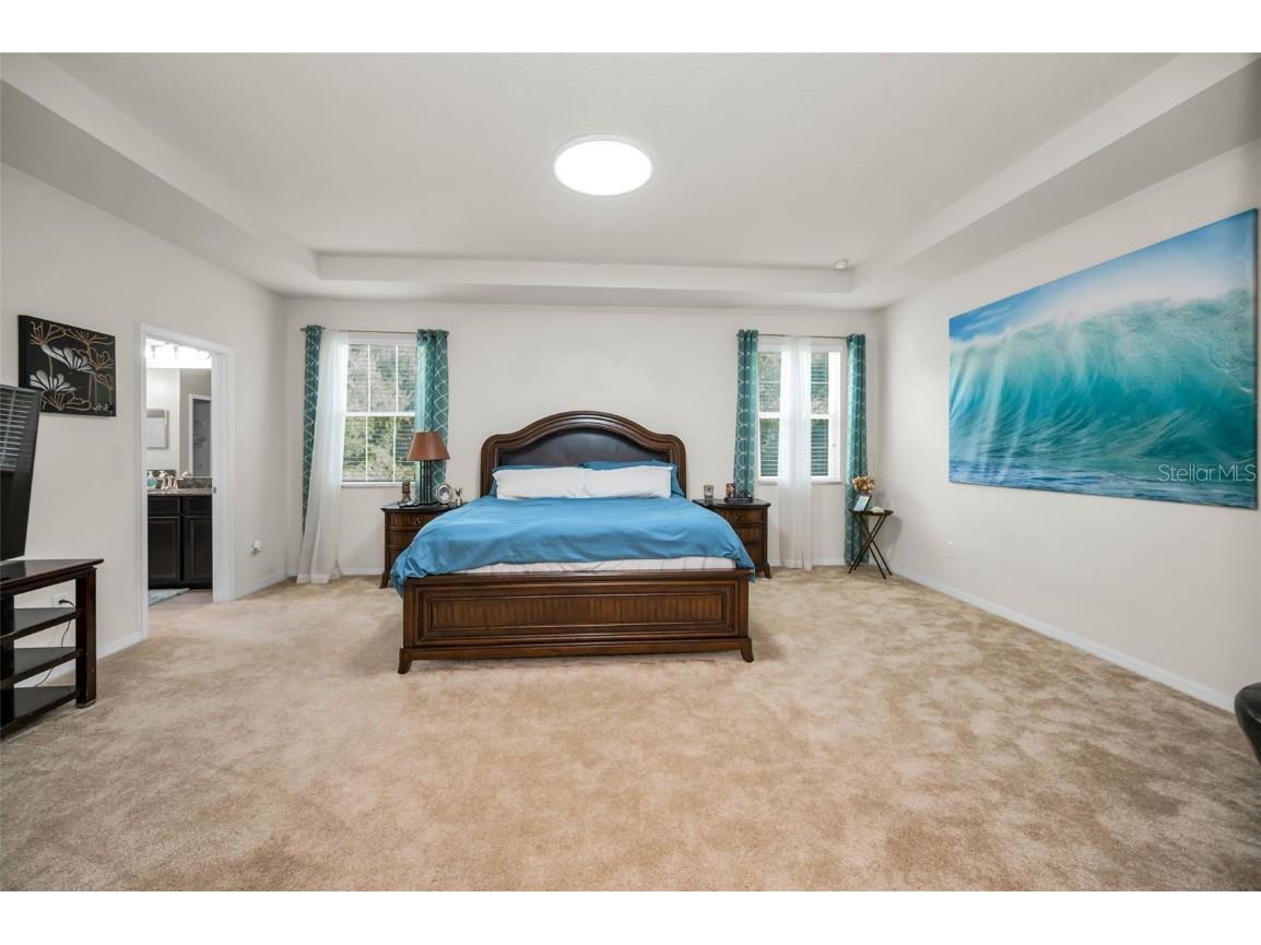 6942 Rocky Canyon Way Tampa FL 33625 TB8442831 image49