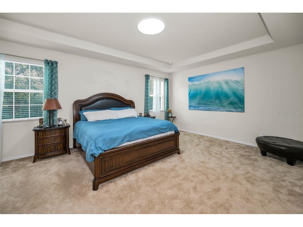 6942 Rocky Canyon Way Tampa FL 33625 TB8442831 image50