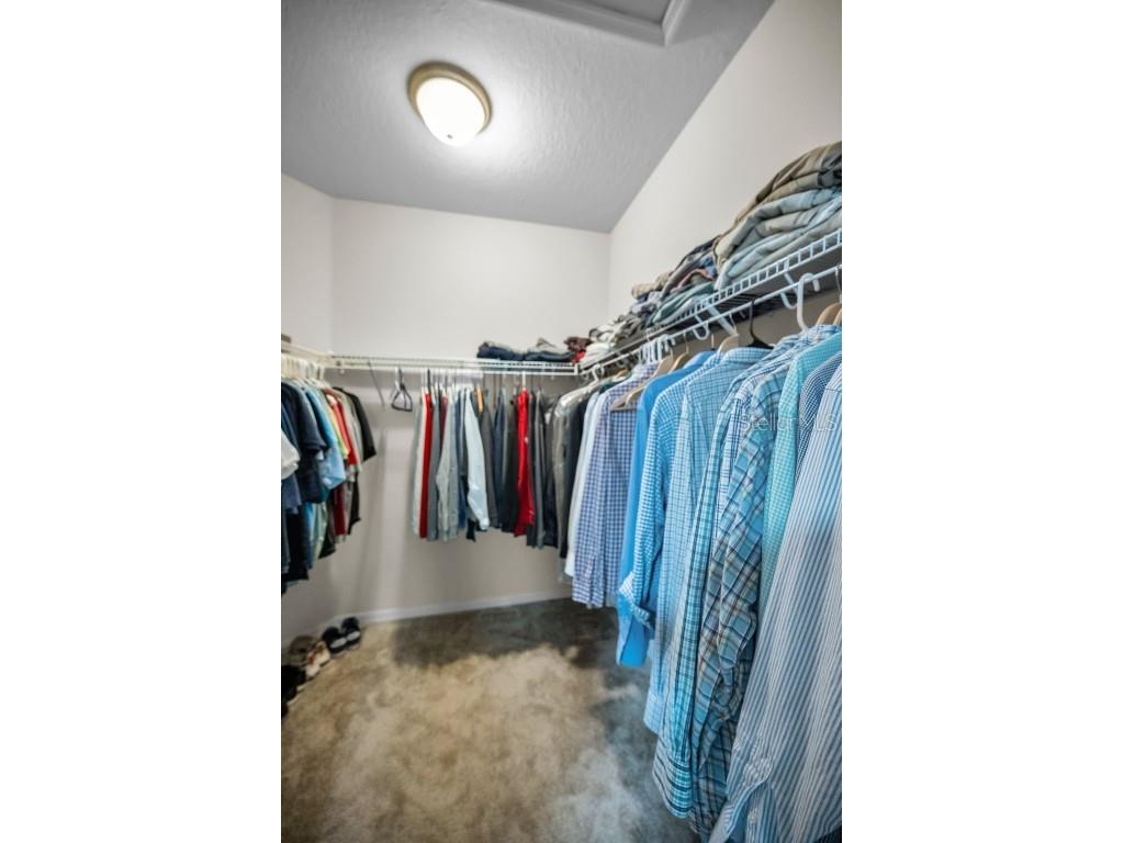 6942 Rocky Canyon Way Tampa FL 33625 TB8442831 image55