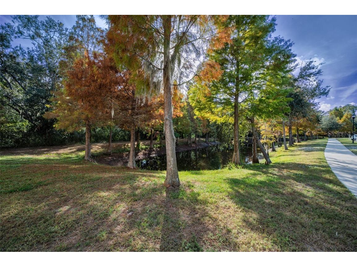 6942 Rocky Canyon Way Tampa FL 33625 TB8442831 image70