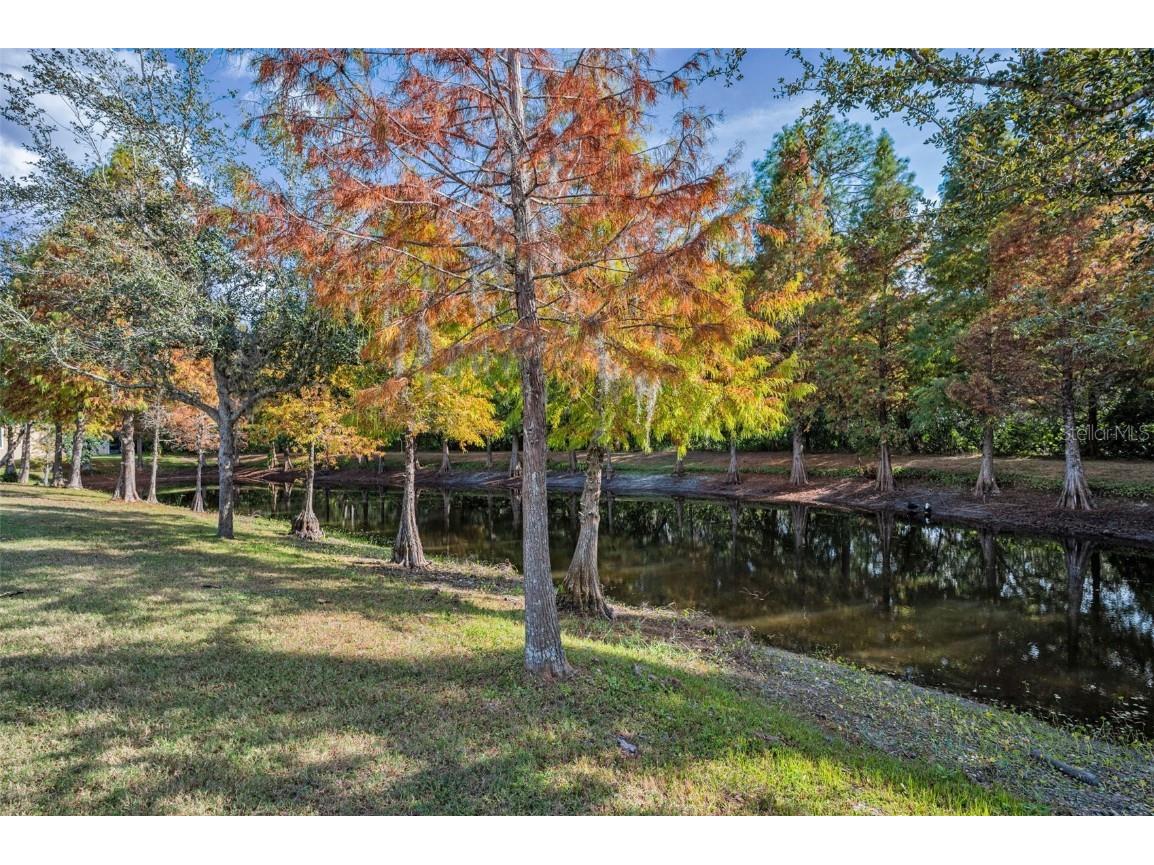 6942 Rocky Canyon Way Tampa FL 33625 TB8442831 image71