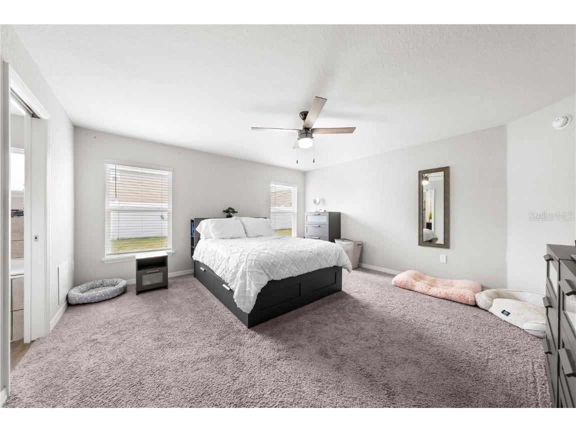 6944 Abbywood Lane Zephyrhills FL 33541 O6329069 image28