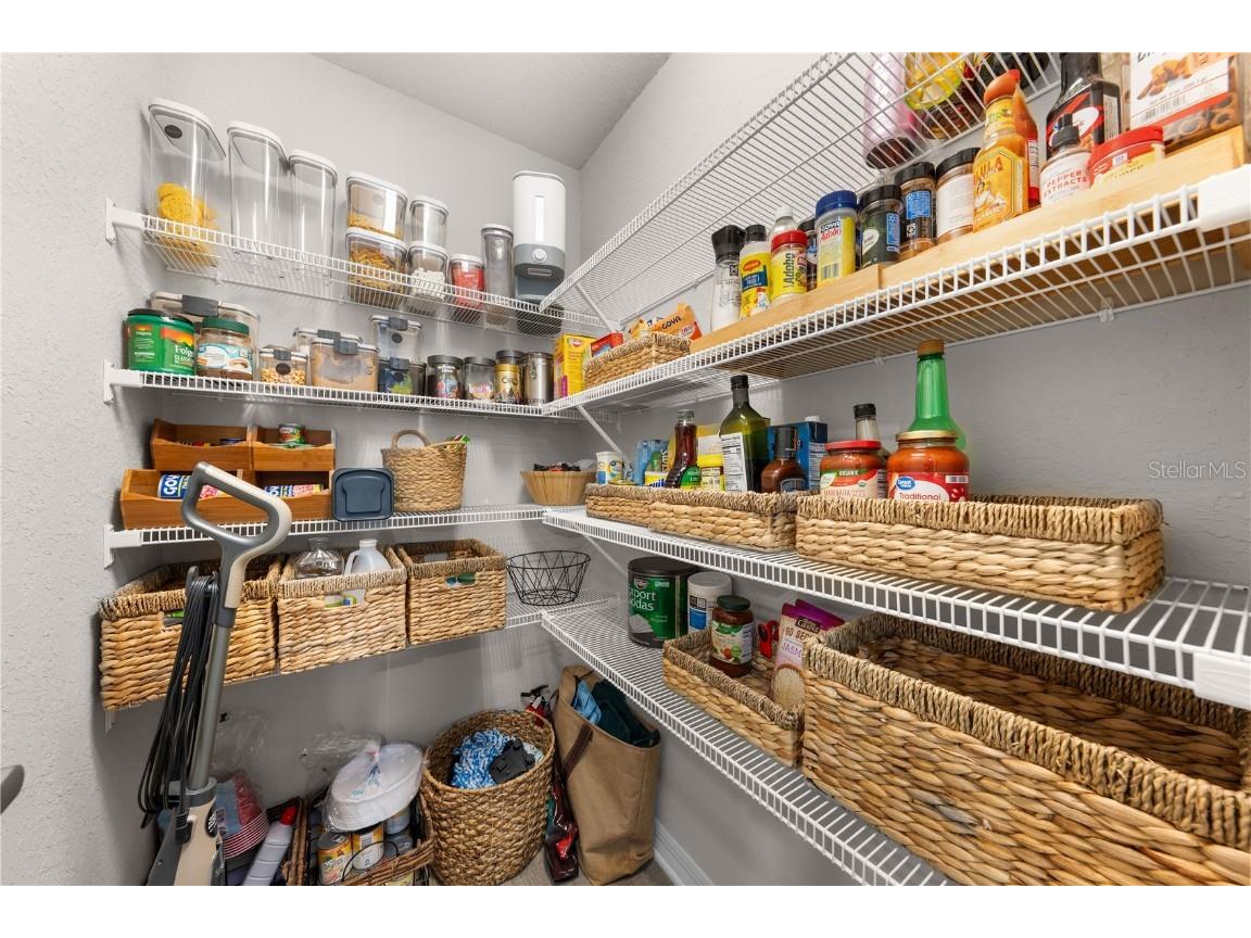 6944 Abbywood Lane Zephyrhills FL 33541 O6329069 image32