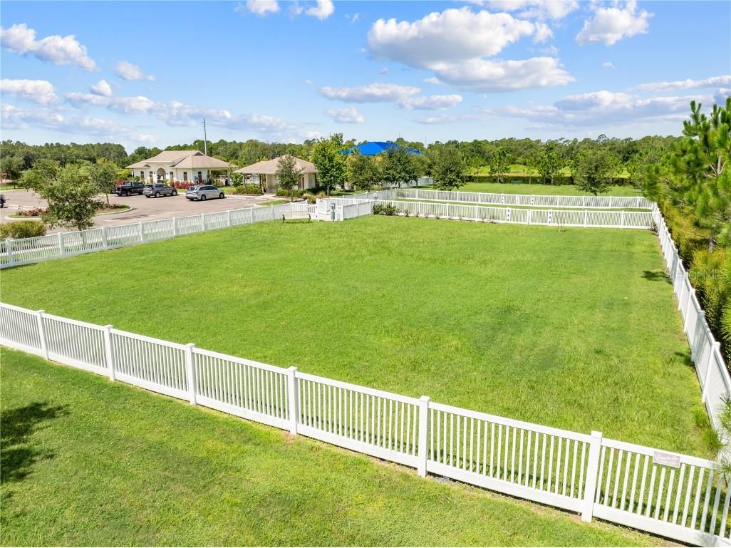 6944 Abbywood Lane Zephyrhills FL 33541 O6329069 image59