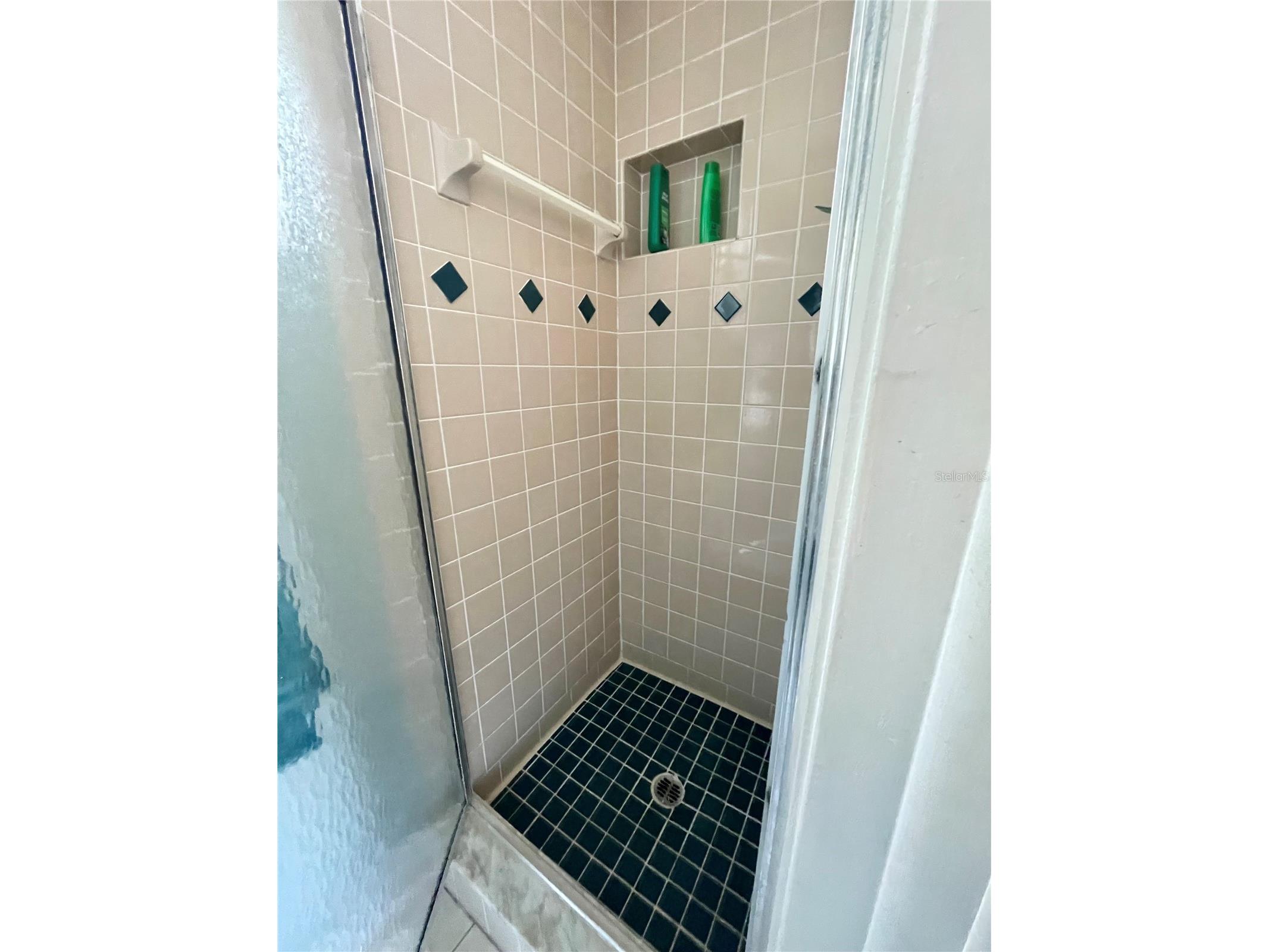 6944 Larchmont Ave New Port Richey FL 34653 A4692383 image17
