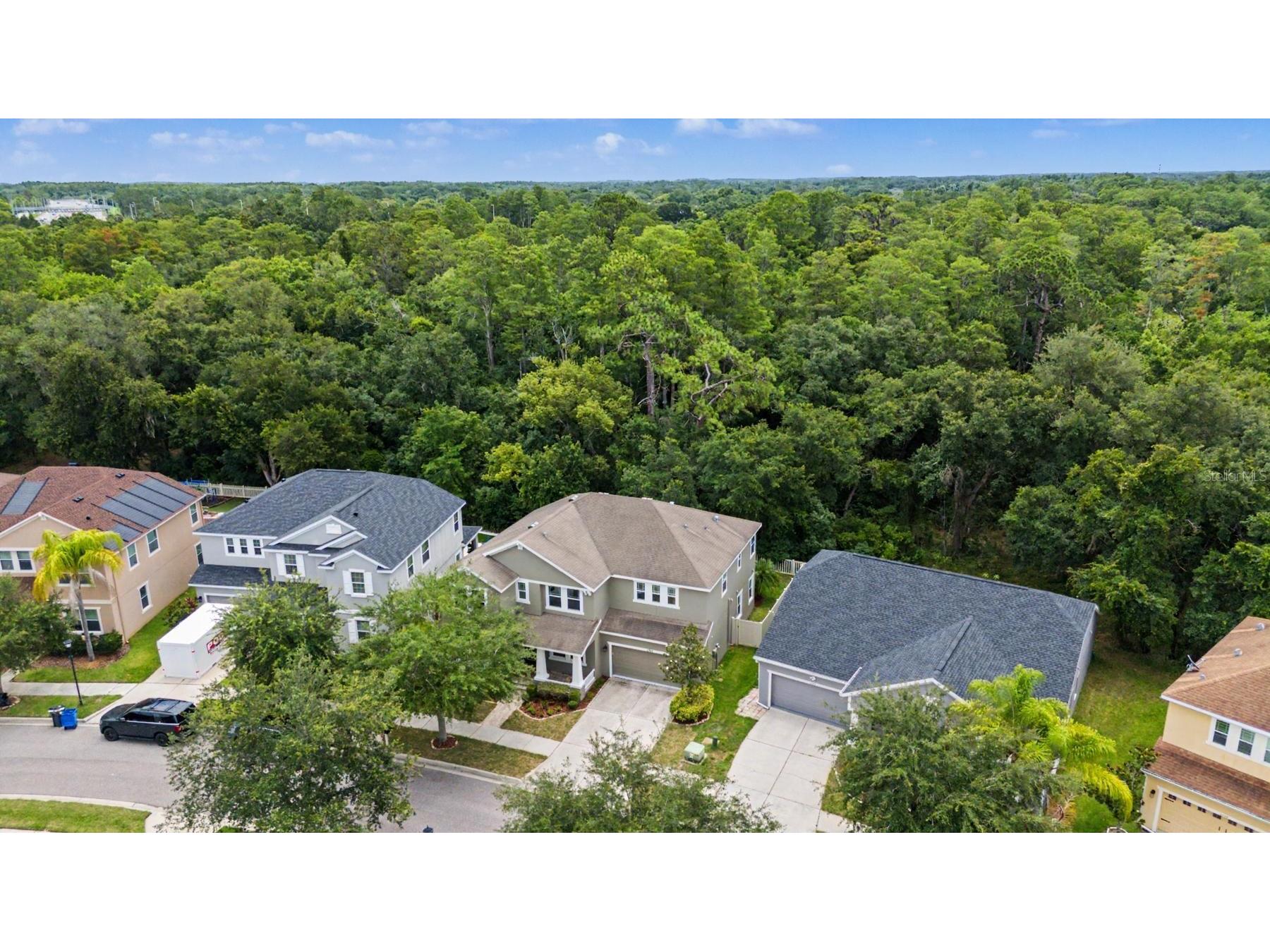 6944 Rocky Canyon Way Tampa FL 33625 TB8517249 image2