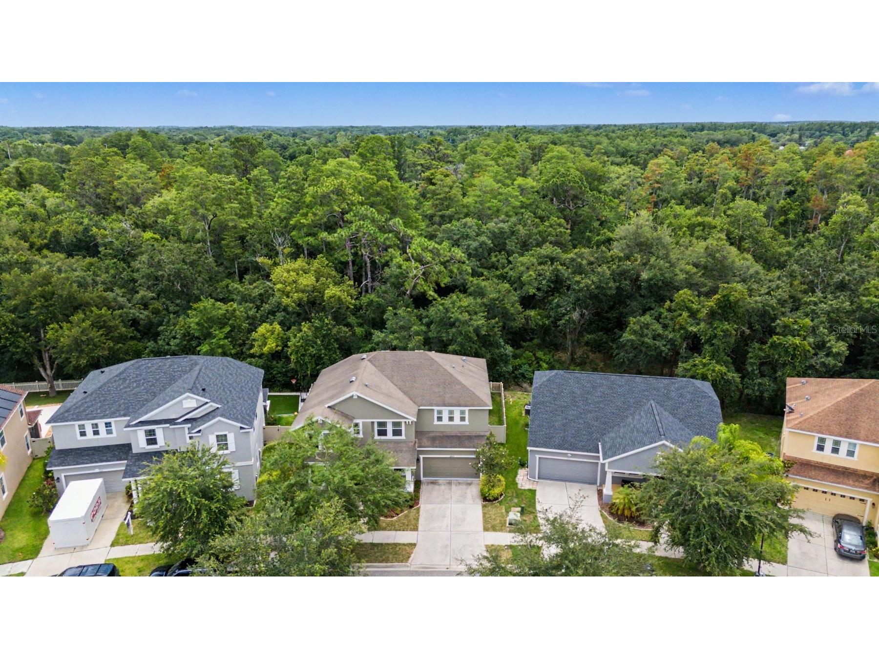 6944 Rocky Canyon Way Tampa FL 33625 TB8517249 image3