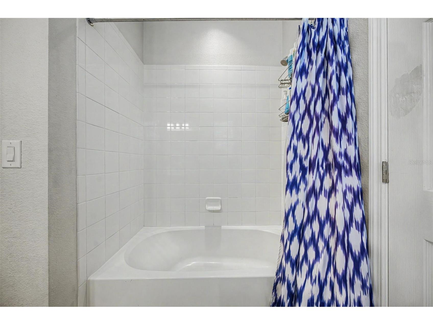 6944 Rocky Canyon Way Tampa FL 33625 TB8517249 image32