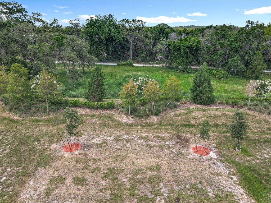 6946 Perch Hammock Loop Groveland FL 34736 G5098209 image34