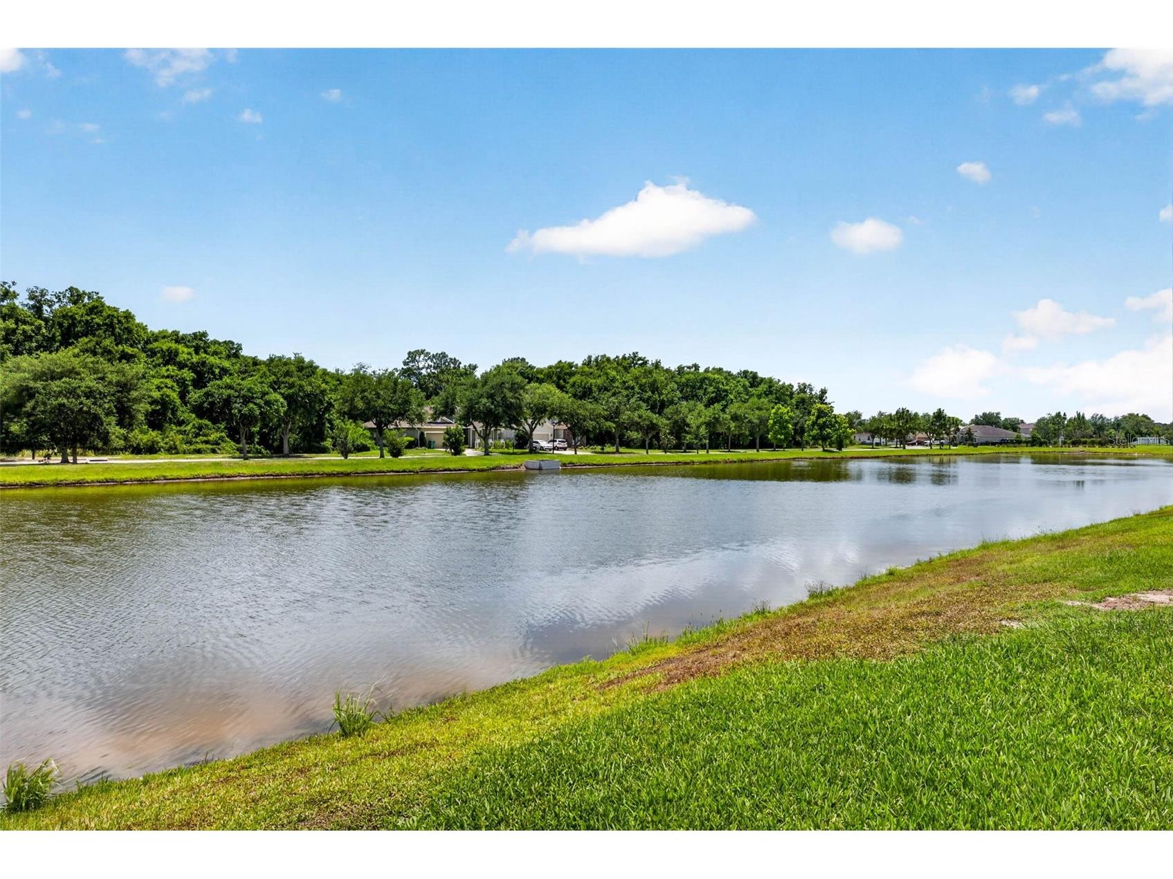 6946 Talamore Drive Wesley Chapel FL 33545 TB8514314 image54