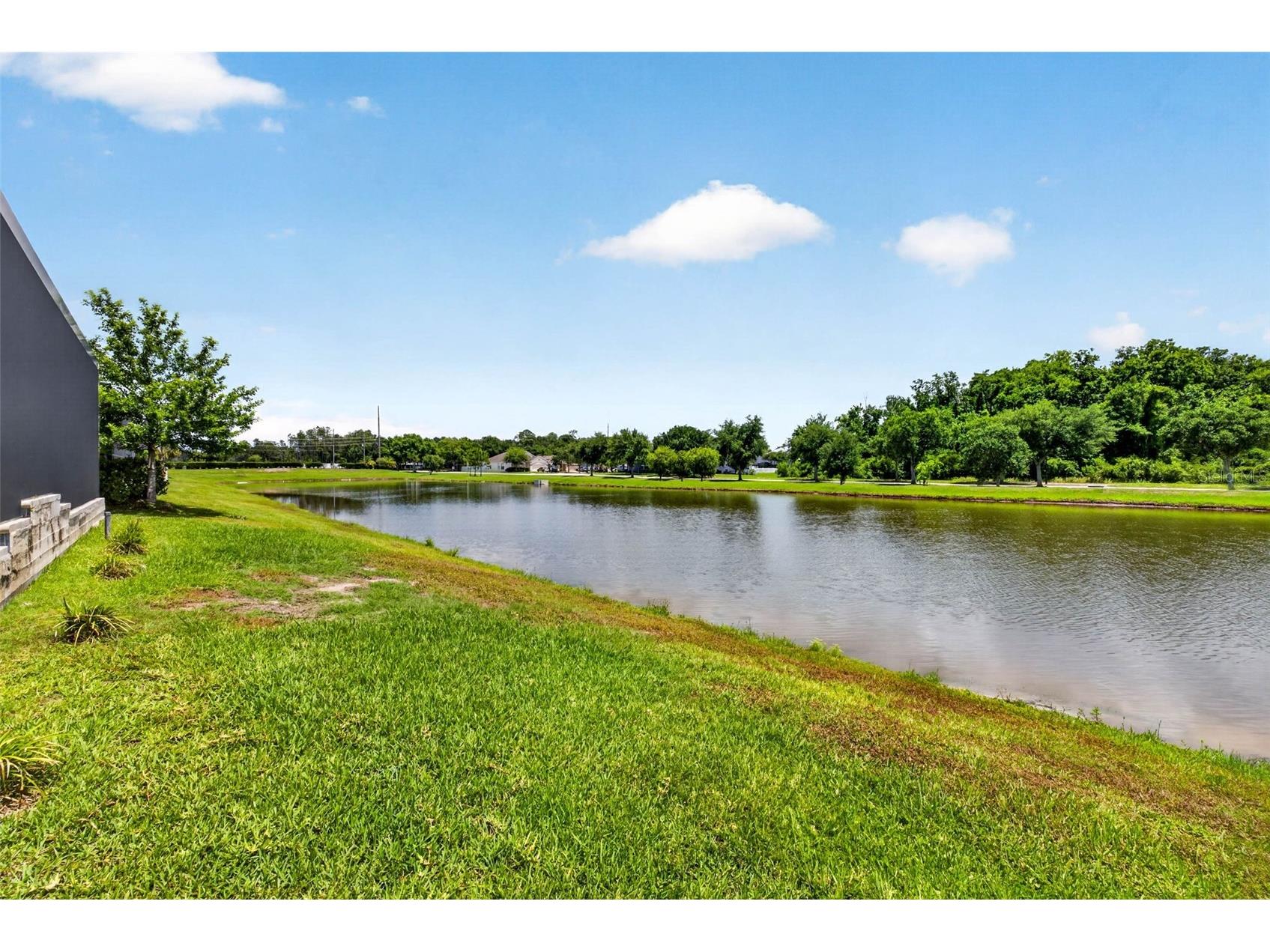 6946 Talamore Drive Wesley Chapel FL 33545 TB8514314 image55
