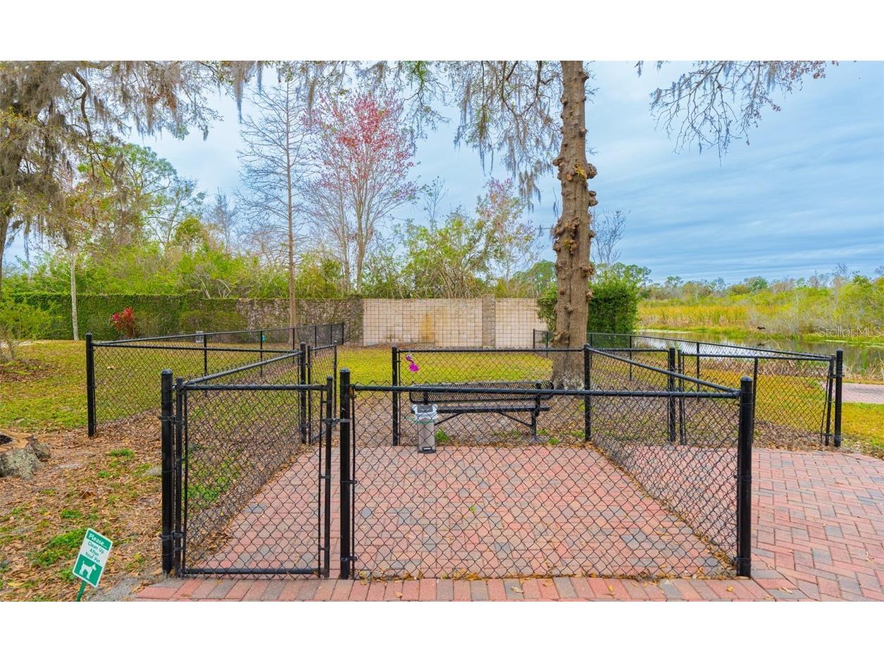6948 Amanda Vista Circle Land O Lakes FL 34637 TB8350821 image34