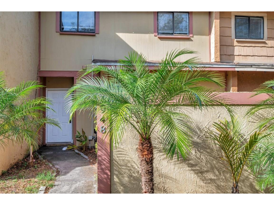 6948 Trout Street Tampa FL 33617 TB8334642 image1