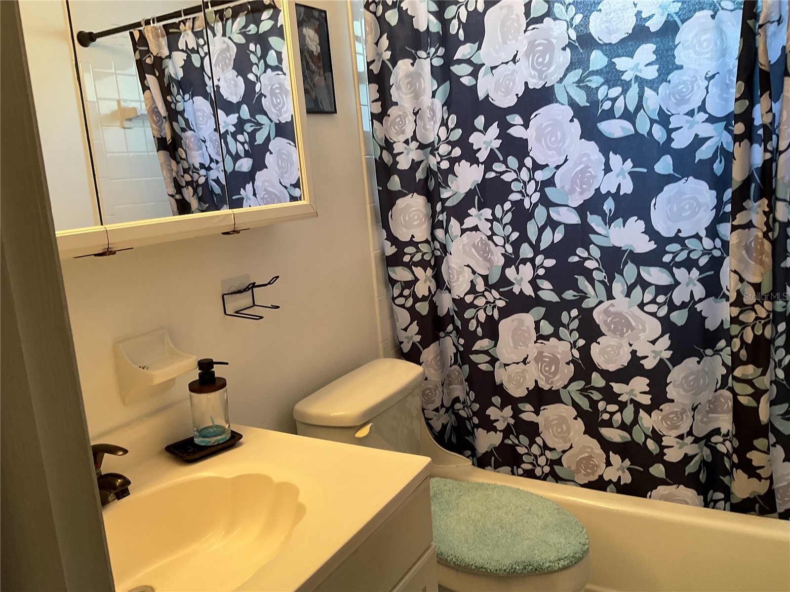 6949 Nova Scotia Drive Port Richey FL 34668 W7885730 image12