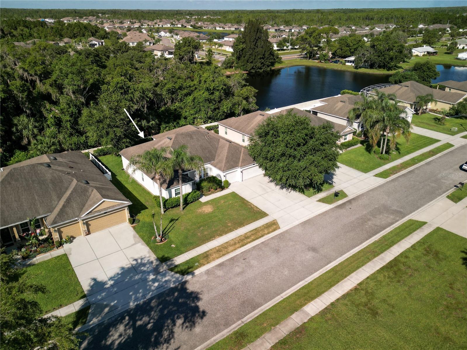 695 Grape Ivy Lane New Smyrna Beach FL 32168 NS1088514 image2