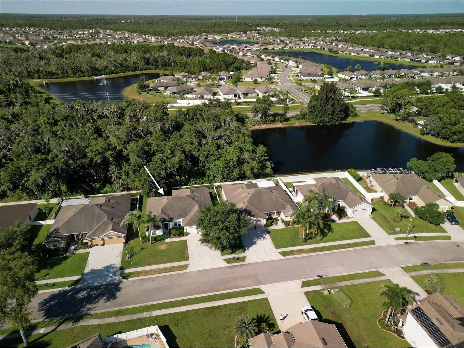 695 Grape Ivy Lane New Smyrna Beach FL 32168 NS1088514 image3