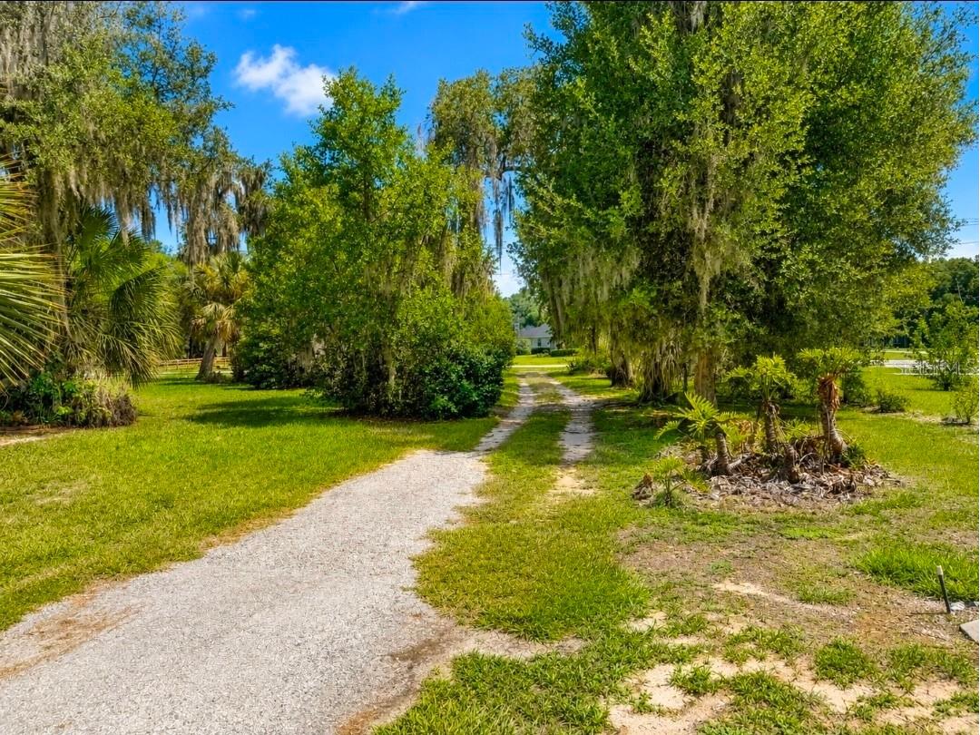 695 Lyle Parkway Bartow FL 33830 B4902300 image4