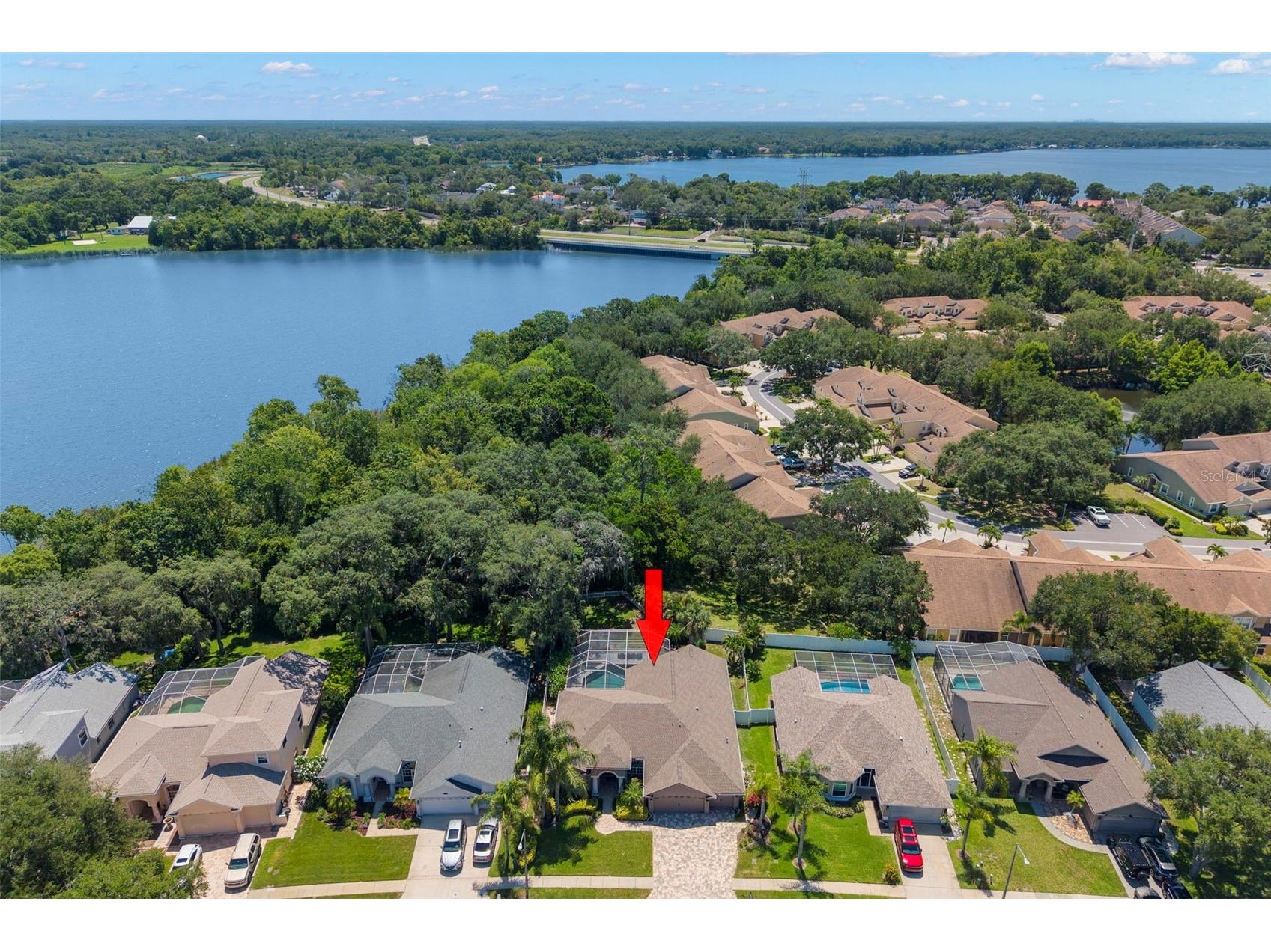 695 Salt Lake Drive Tarpon Springs FL 34689 TB8517655 image63