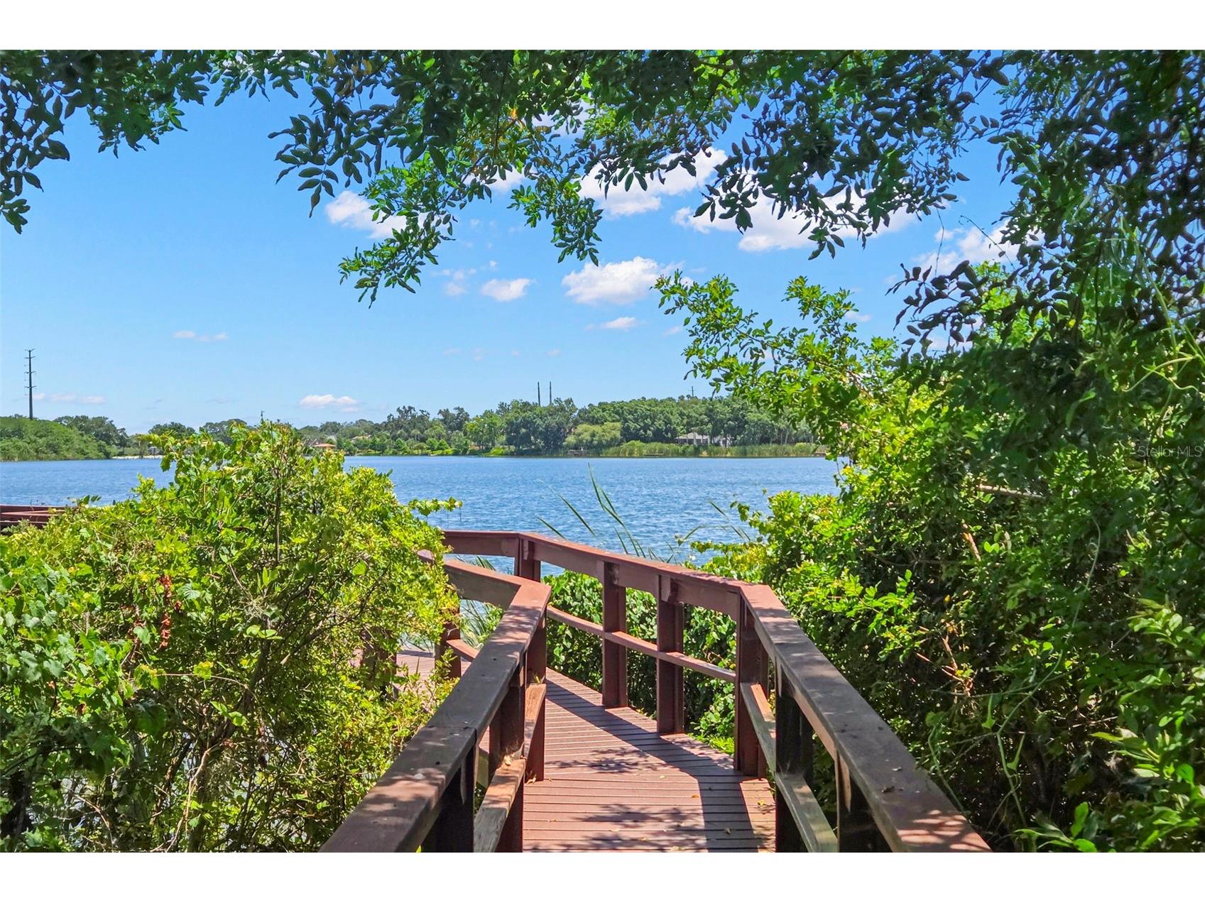 695 Salt Lake Drive Tarpon Springs FL 34689 TB8517655 image71