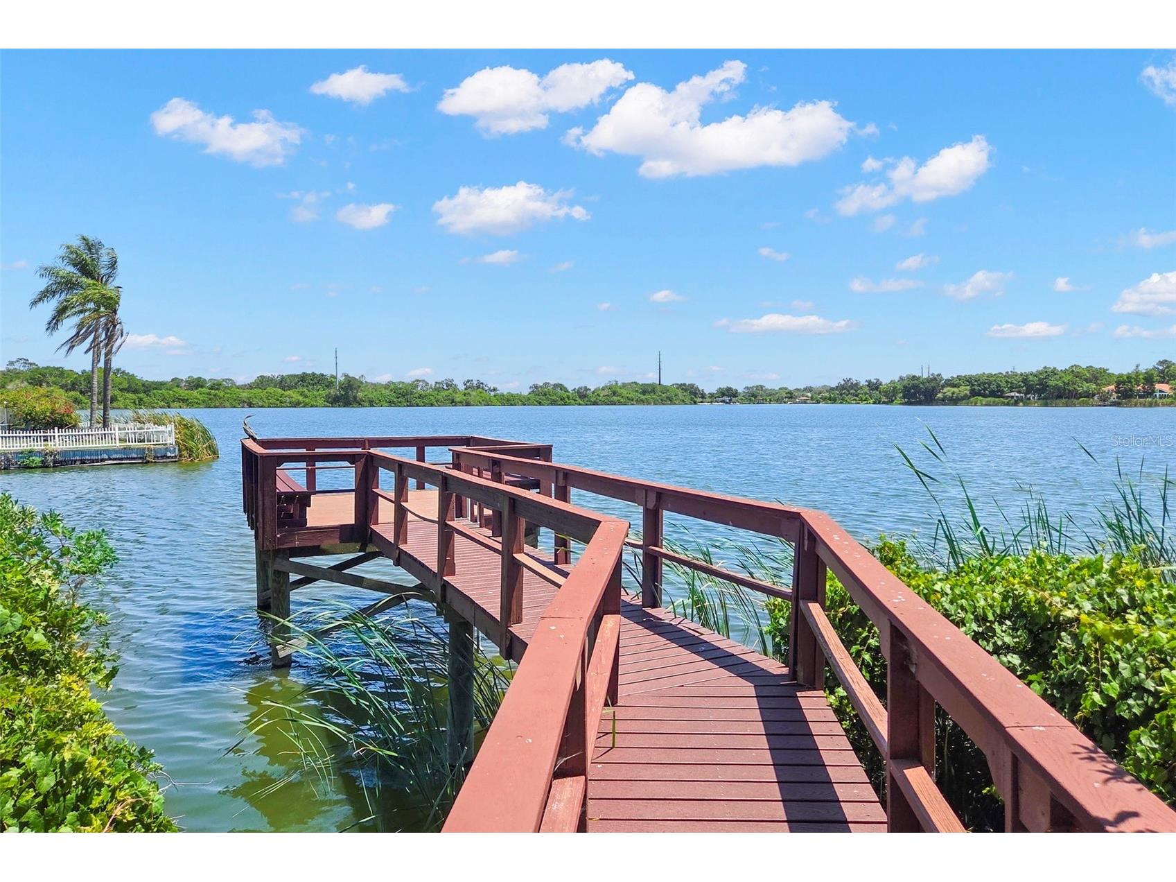 695 Salt Lake Drive Tarpon Springs FL 34689 TB8517655 image72