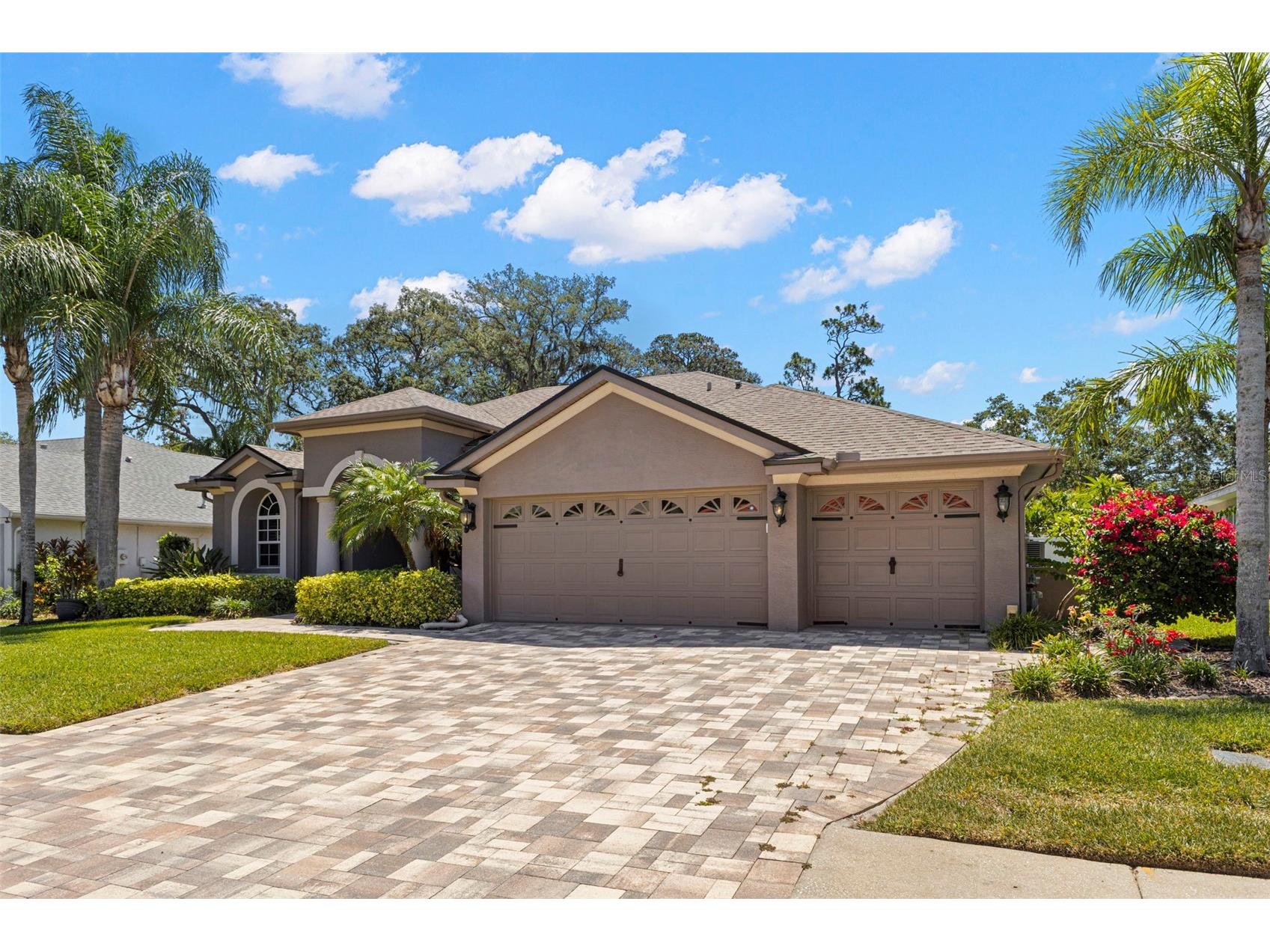 695 Salt Lake Drive Tarpon Springs FL 34689 TB8517655 image73