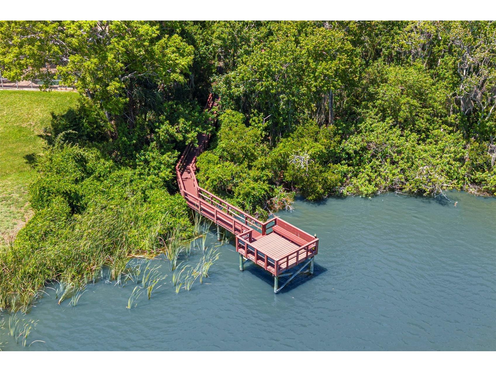 695 Salt Lake Drive Tarpon Springs FL 34689 TB8517655 image76