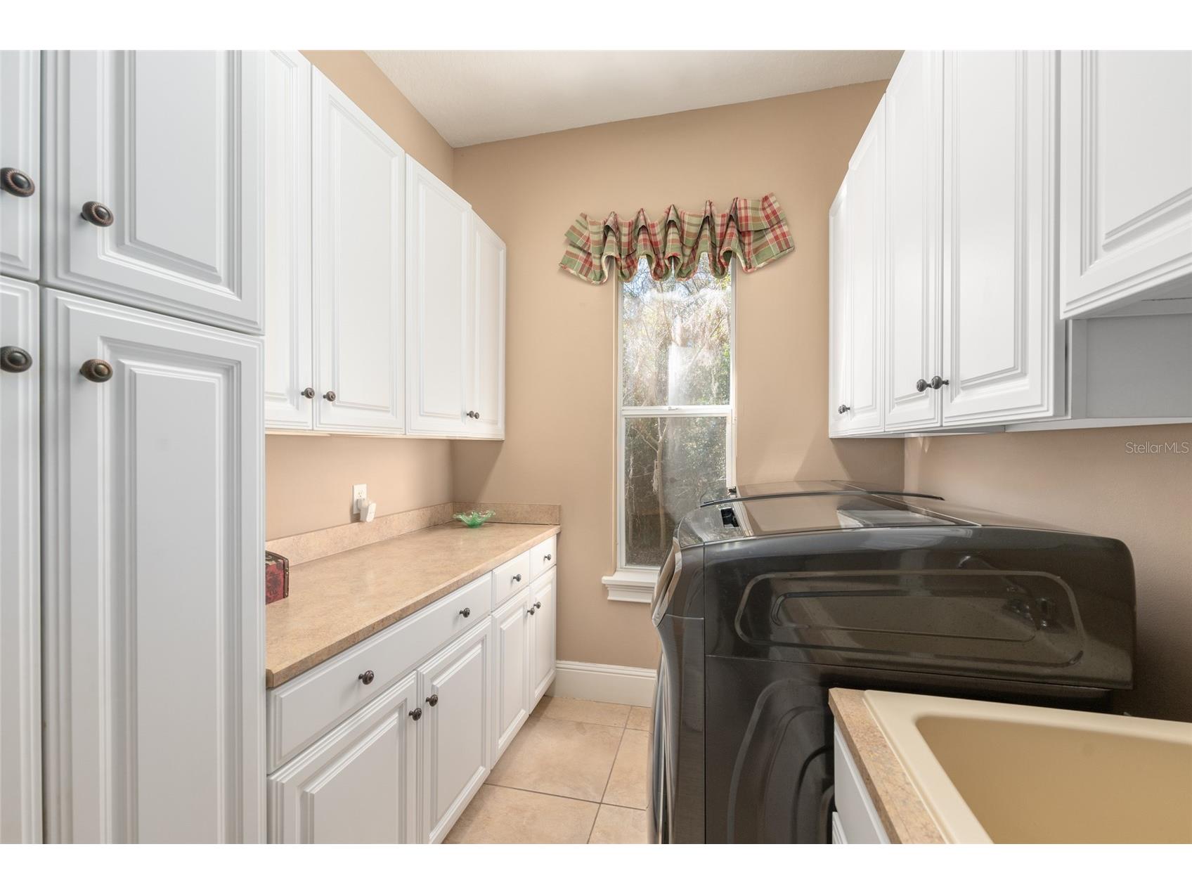 695 SE 47th Loop Ocala FL 34480 OM719686 image34