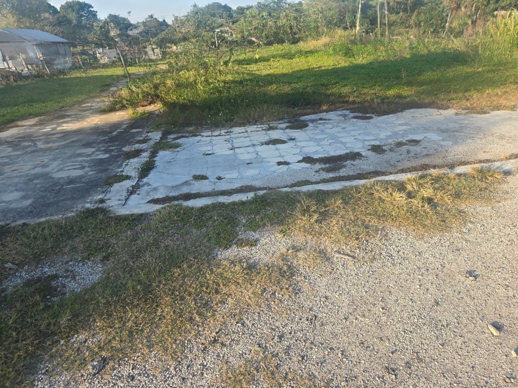 695 W Carroll Street Kissimmee FL 34741 S5138906 image3