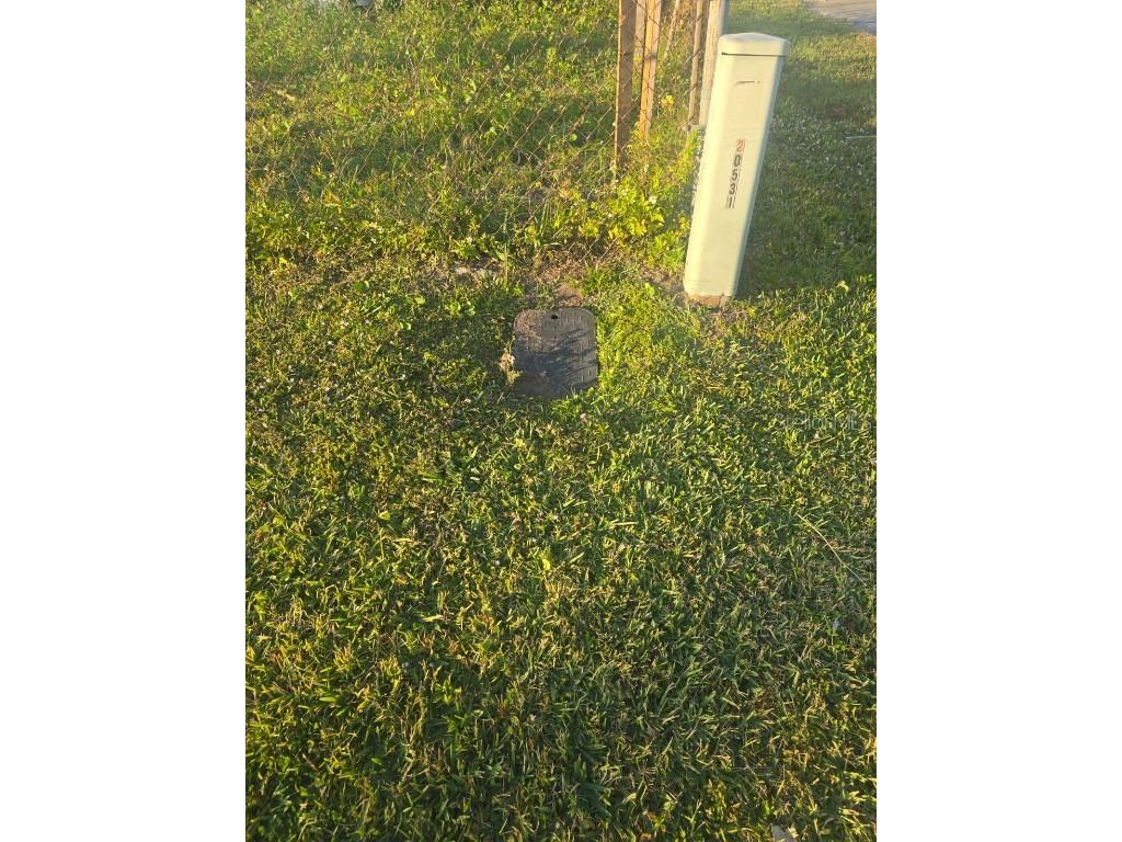 695 W Carroll Street Kissimmee FL 34741 S5138906 image8