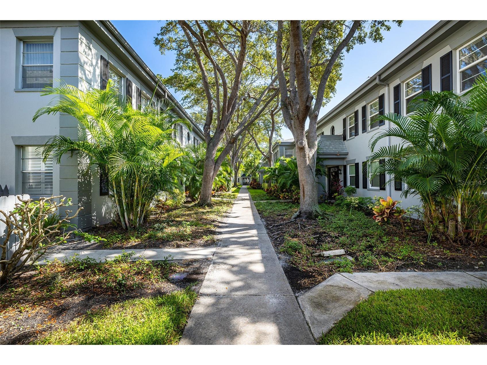 6950 Avenue Des Palais #2A South Pasadena FL 33707 TB8501805 image16
