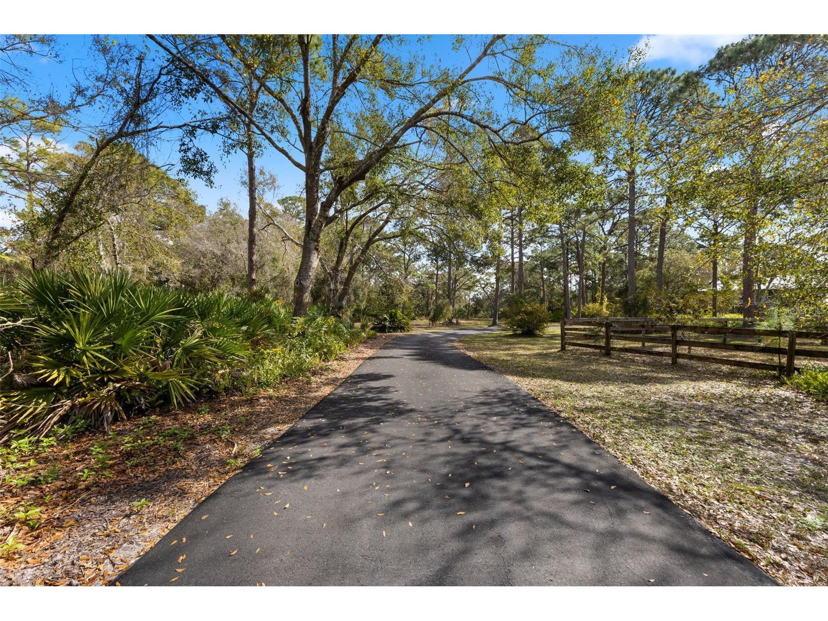 6950 El Dorado Drive Sarasota FL 34240 A4679055 image12