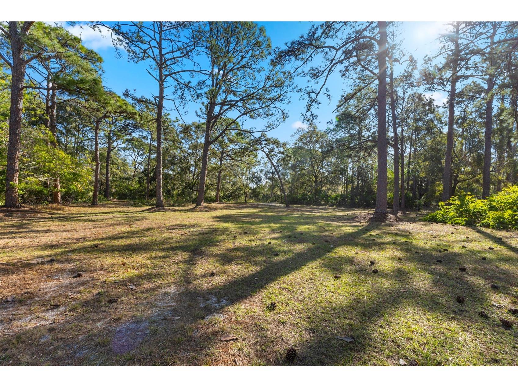 6950 El Dorado Drive Sarasota FL 34240 A4679055 image75