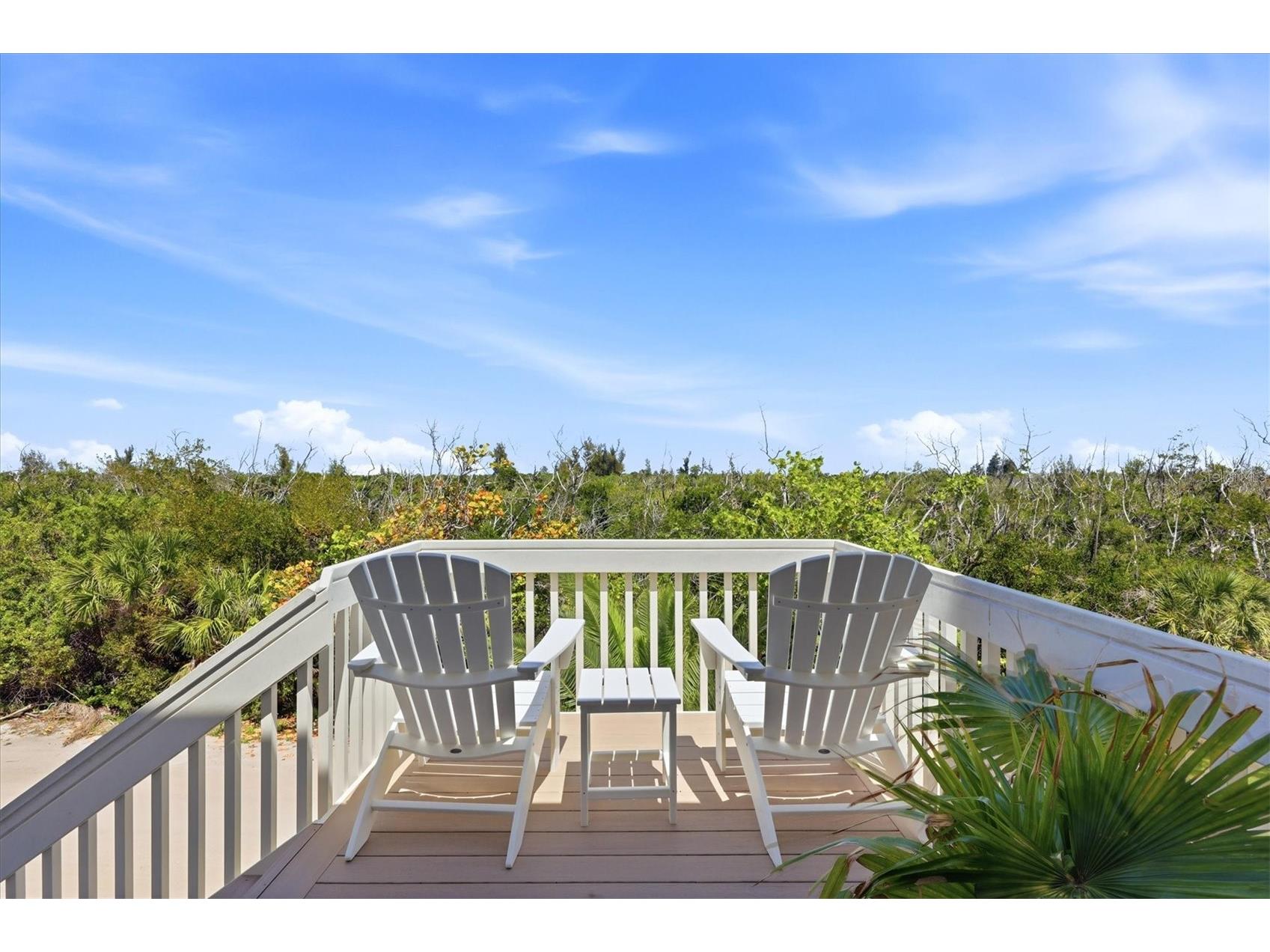 6950 Palm Island Drive Placida FL 33946 - GULF OF AMERICA D6147088 image49