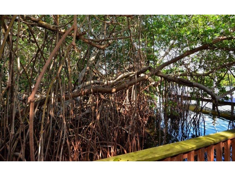 6950 Palm Island Drive Placida FL 33946 - GULF OF AMERICA D6147088 image74