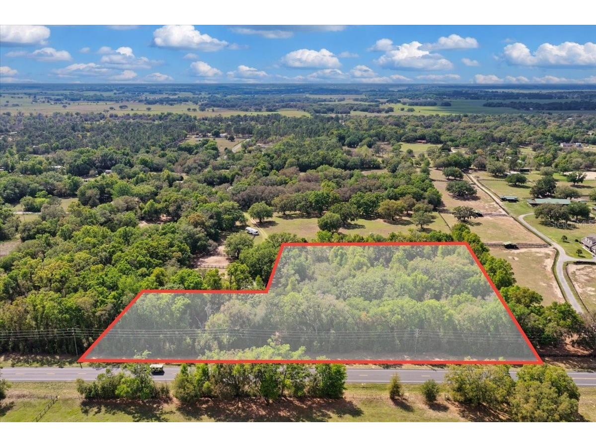 6950 SE Highway 41 Morriston FL 32668 O6394509 image1